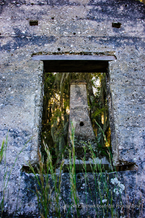 Sapelo2012_MCB1243.jpg