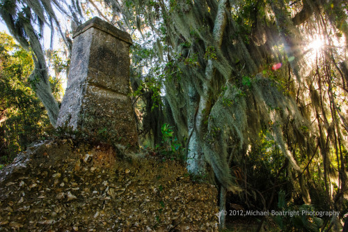 Sapelo2012_MCB1254.jpg
