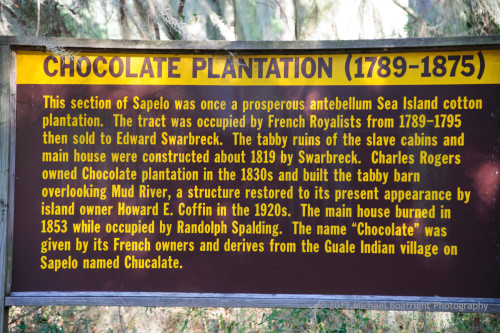 Sapelo2012_MCB1265.jpg