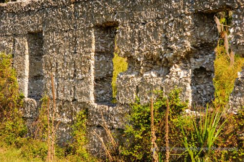 Sapelo2012_MCB1279.jpg