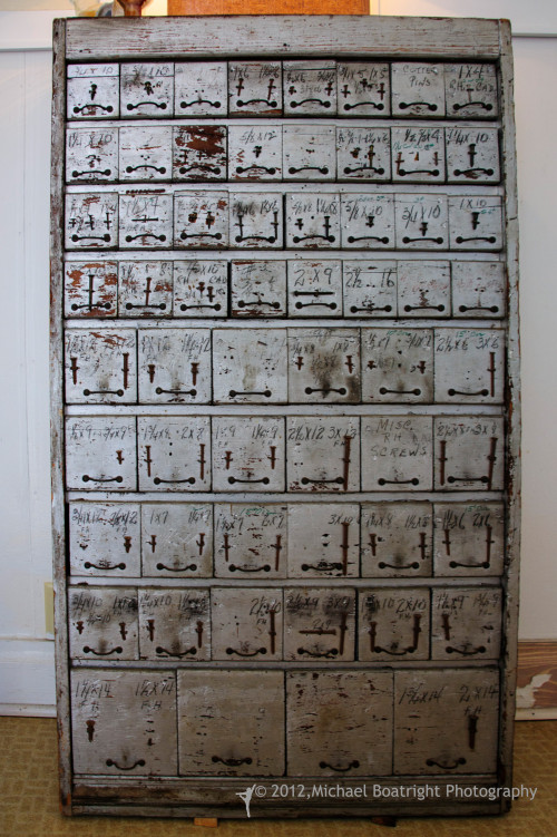 Sapelo2012_MCB1283.jpg