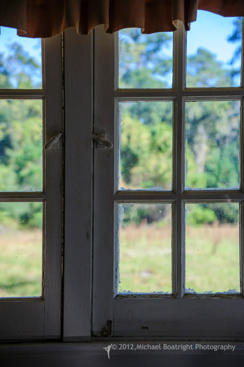 Sapelo2012_MCB1296.jpg