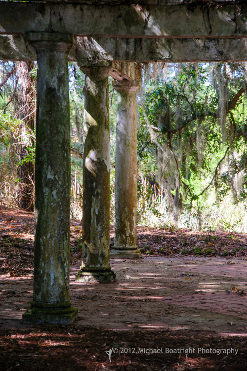 Sapelo2012_MCB1337.jpg
