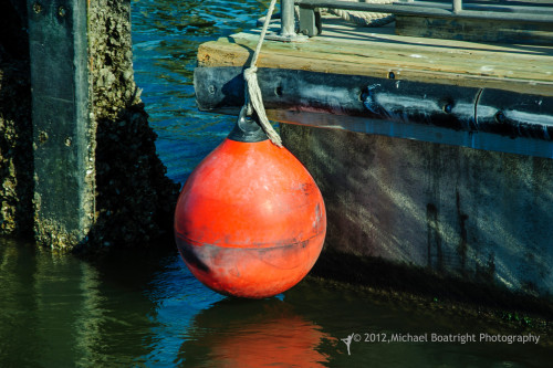 Sapelo2012_MCB1423.jpg