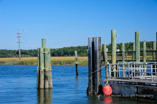 Sapelo2012_MCB1426.jpg
