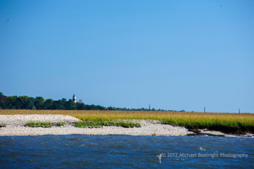 Sapelo2012_MCB1430.jpg