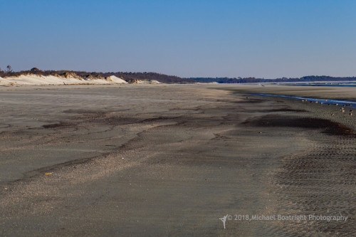 Sapelo2018_1030281.jpg