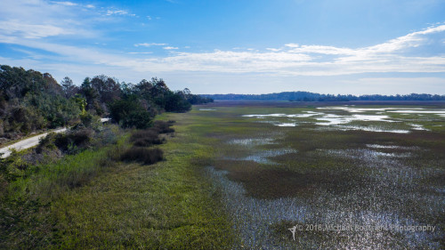 Sapelo2018_MCB0185.jpg