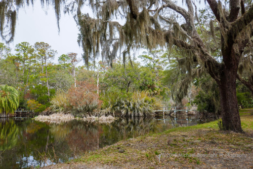 Sapelo2018_MCB0211.jpg