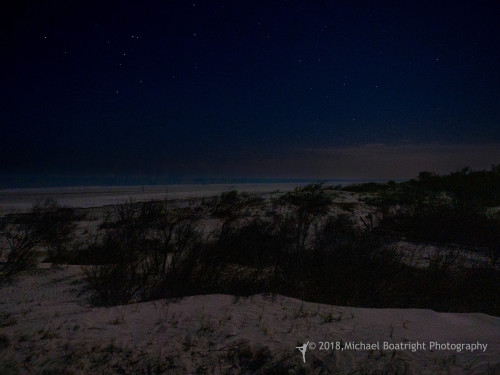Sapelo2018_MCB5365.jpg