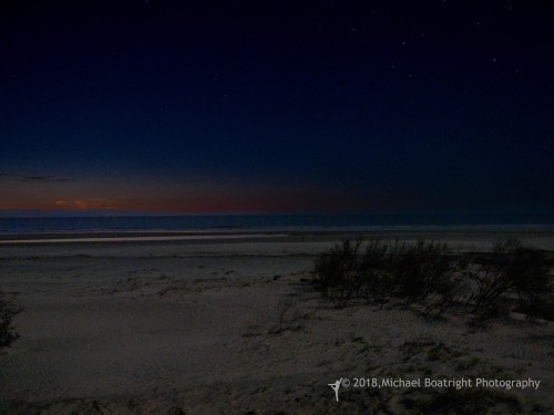 Sapelo2018_MCB5368.jpg