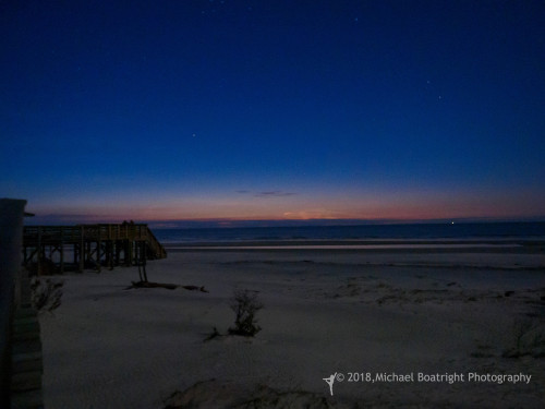 Sapelo2018_MCB5370.jpg