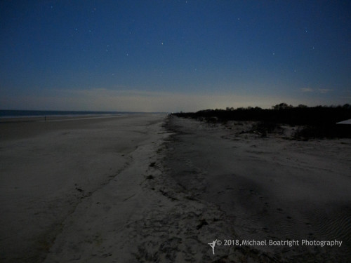 Sapelo2018_MCB5376.jpg
