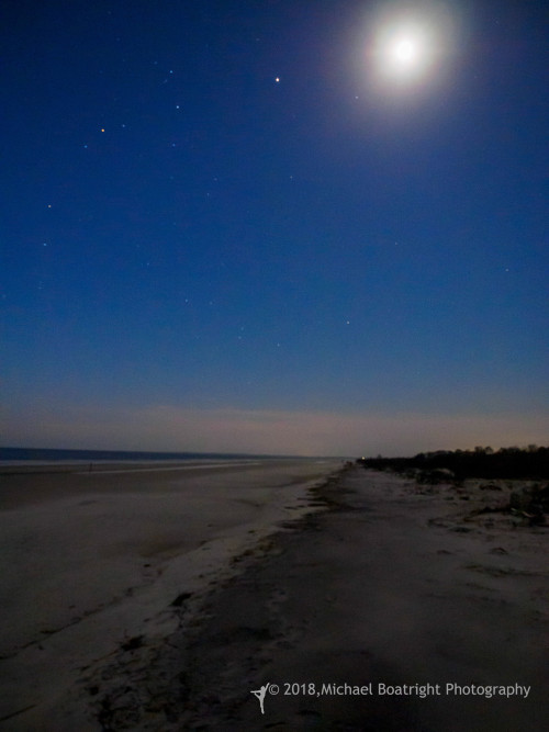 Sapelo2018_MCB5380.jpg