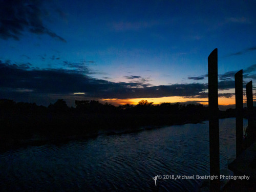 Sapelo2018_MCB5456.jpg
