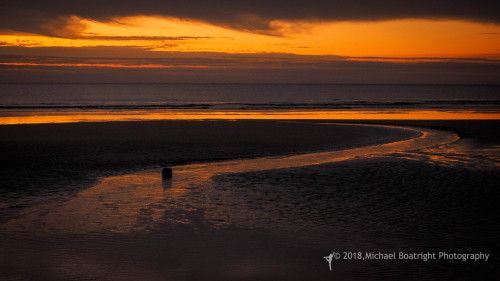 Sapelo2018_MCB5463.jpg