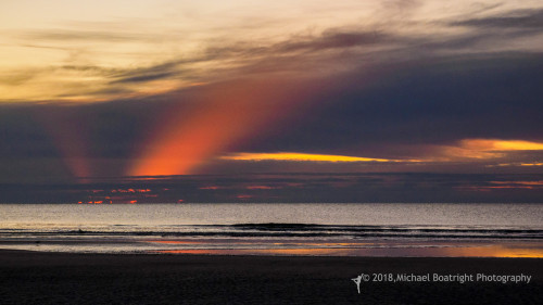 Sapelo2018_MCB5479.jpg