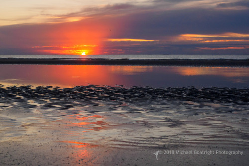 Sapelo2018_MCB5505.jpg