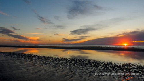 Sapelo2018_MCB5514.jpg