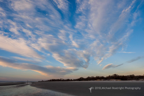 Sapelo2018_MCB5547.jpg