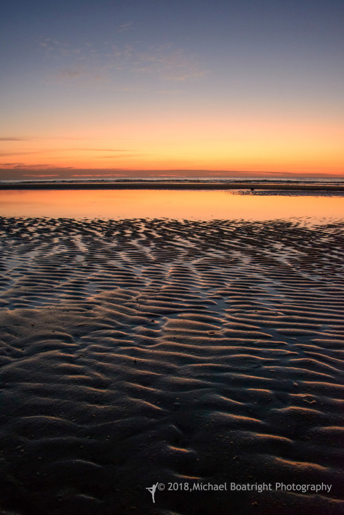 Sapelo2018_MCB6386.jpg