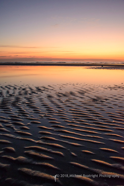 Sapelo2018_MCB6390.jpg