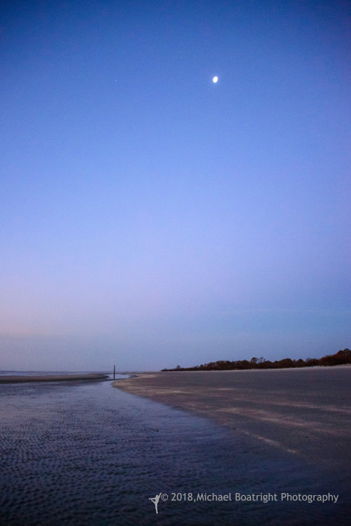 Sapelo2018_MCB6397.jpg