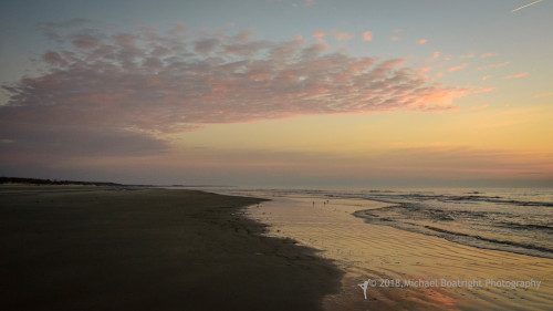 Sapelo2018_MCB6458.jpg
