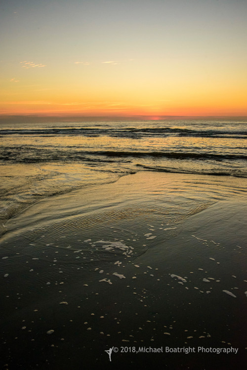Sapelo2018_MCB6463.jpg