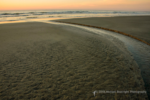 Sapelo2018_MCB6511.jpg