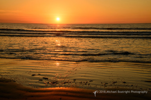 Sapelo2018_MCB6522.jpg