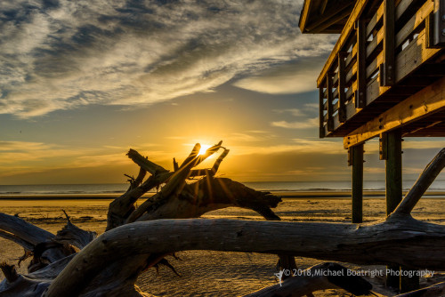 Sapelo2018_MCB6753.jpg
