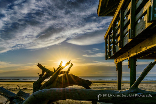 Sapelo2018_MCB6759.jpg