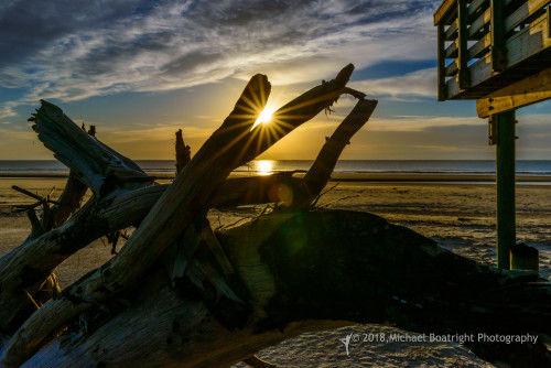Sapelo2018_MCB6783.jpg