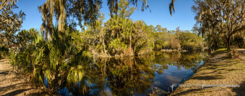 Sapelo2018_MCB7293.jpg