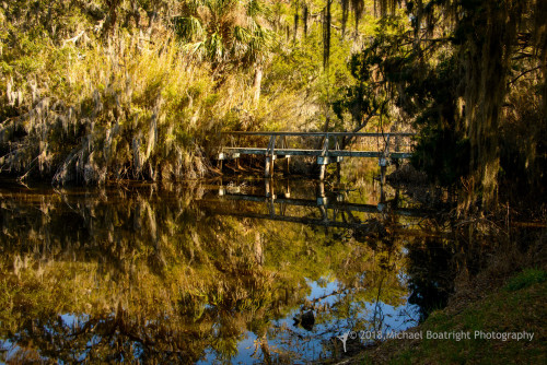 Sapelo2018_MCB7301.jpg