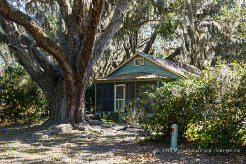 Sapelo2018_1030227.jpg