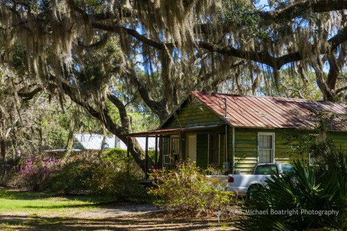 Sapelo2018_1030230.jpg