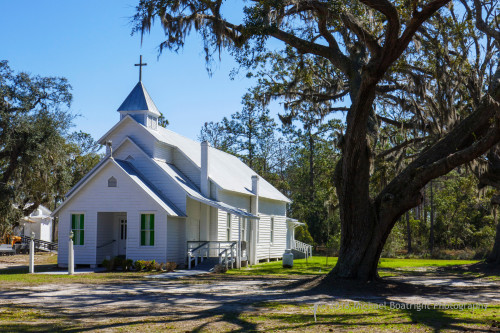 Sapelo2018_1030235.jpg