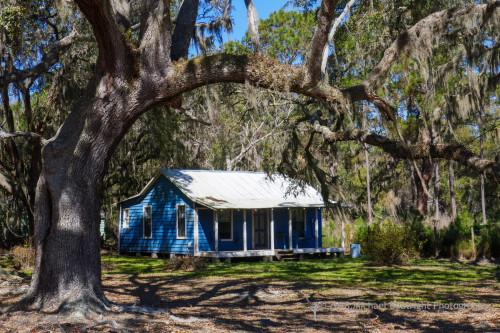 Sapelo2018_1030242.jpg