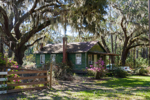Sapelo2018_1030254.jpg
