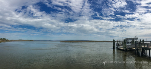 Sapelo2018_IMG_5365.jpg