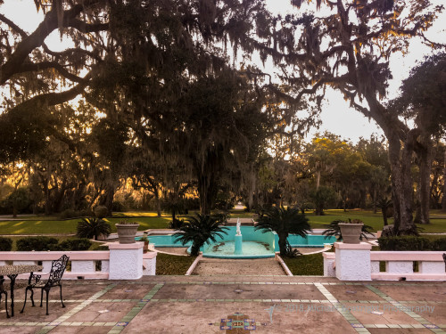 Sapelo2018_IMG_5384.jpg