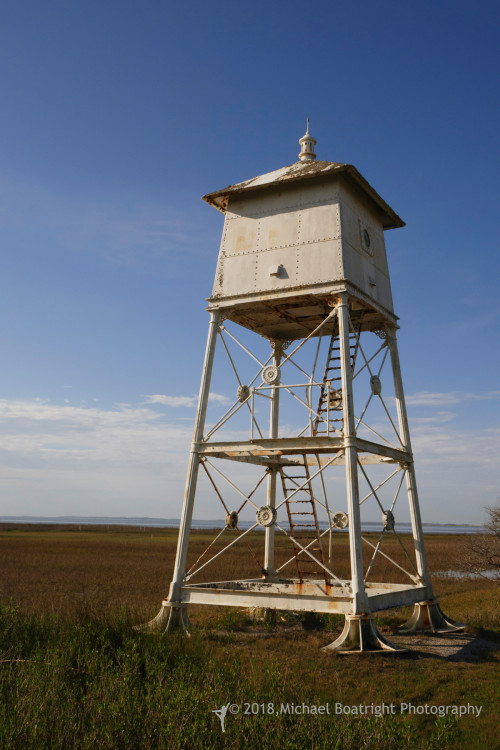 Sapelo2018_MCB0170.jpg