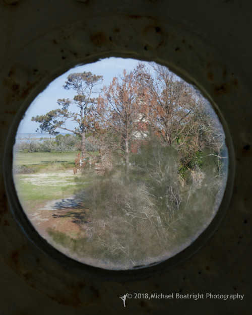 Sapelo2018_MCB0203.jpg