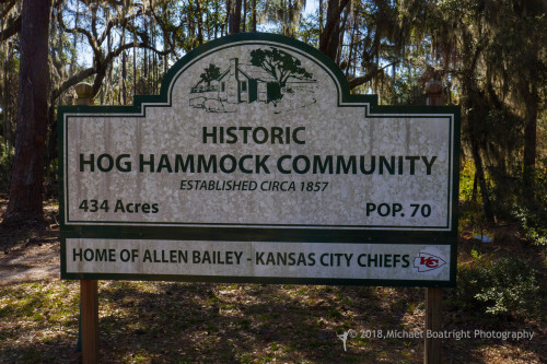 Sapelo2018_MCB0217.jpg