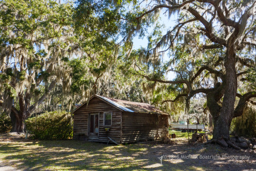 Sapelo2018_MCB0222.jpg