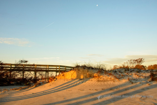 Sapelo2018_MCB6552.jpg