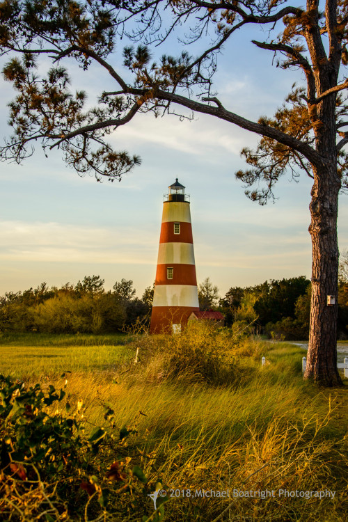 Sapelo2018_MCB6831.jpg
