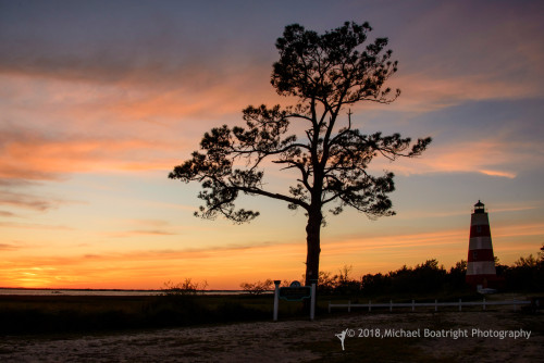 Sapelo2018_MCB7002.jpg